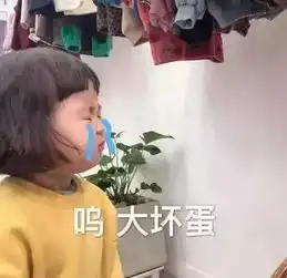 罗熙表情包你就是不爱我了