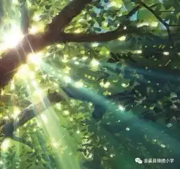 聚集体智慧,备精彩课堂锦绣小学语文组各年级集体备课活动