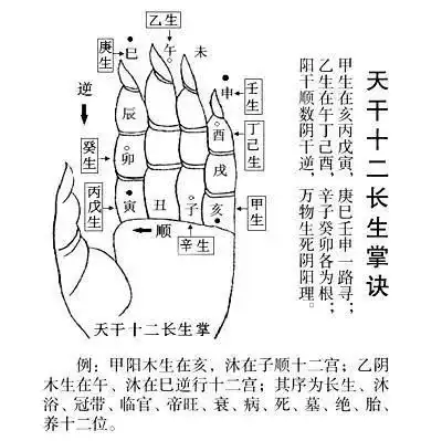 陈益峰风水基础之天干十二长生