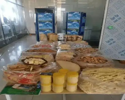 新春将至,福虎献瑞第三届呼伦贝尔小镇食材年货节开幕了