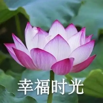 bob88体育平台