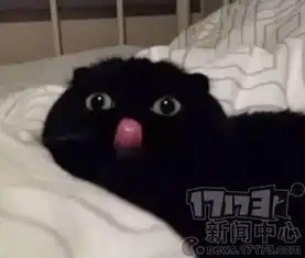 一看吓一跳雷死人不偿命的囧图集328