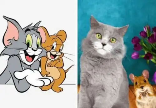 那些动漫中角色的原型,猫和老鼠原形呆萌,小猪佩奇是认真的吗