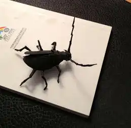 3d动画的主角