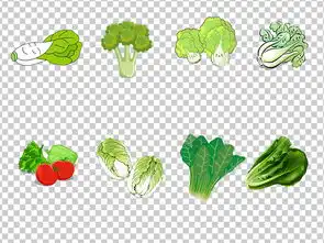 01590青菜蔬菜手绘卡通可小青菜白菜胡萝卜免抠素材图片模板下载45.06mb其他大全生活工作