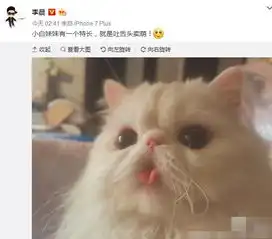 李晨在床上晒范冰冰萌宠,身边的人不就是