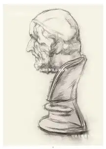 中国美术学院专业基础教学部教师刘晓东素描石膏头像挂图
