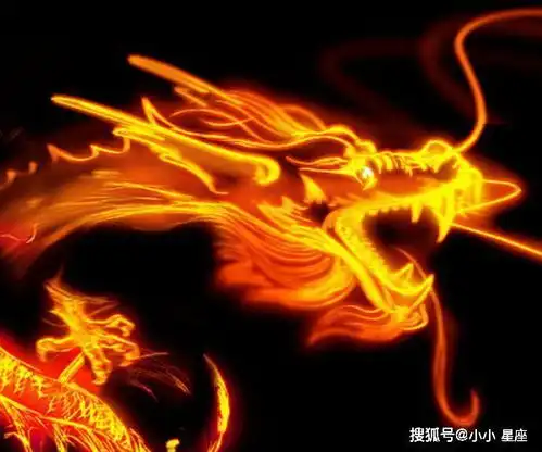 2020年五月起,大金龙运势正式起飞,尤其是1964年属龙人