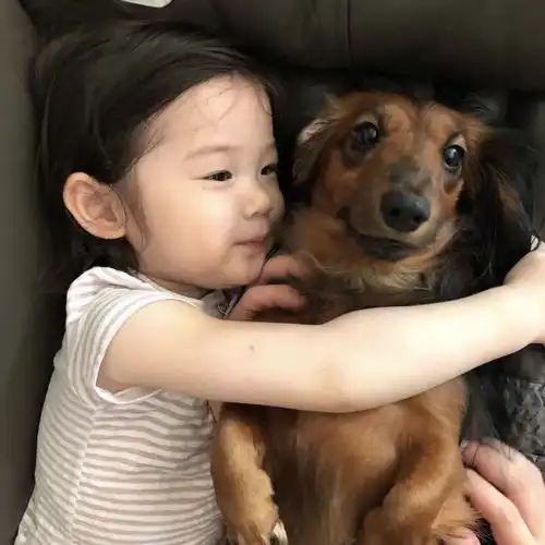 可爱头像不乖乖睡觉的小孩会罚站
