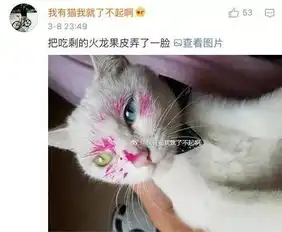 吾皇虐我千百遍,我却视它如初恋