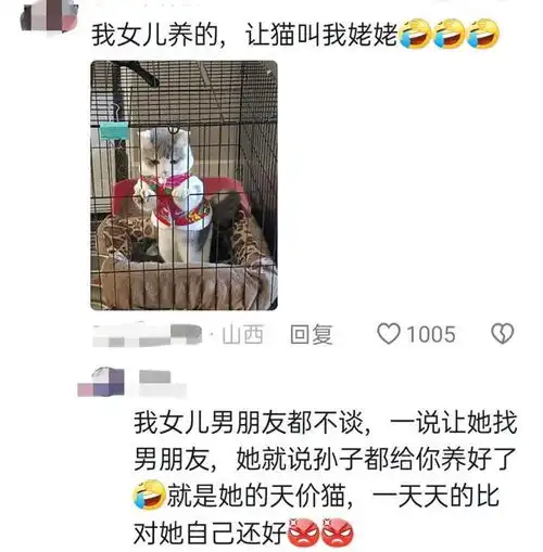 这货是儿子买回来的,说让我当孙子,每天光伺候它了评论区笑麻