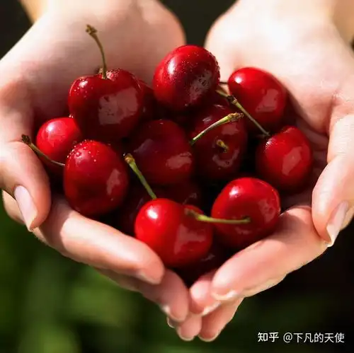 从中医角度孕妇吃什么水果好