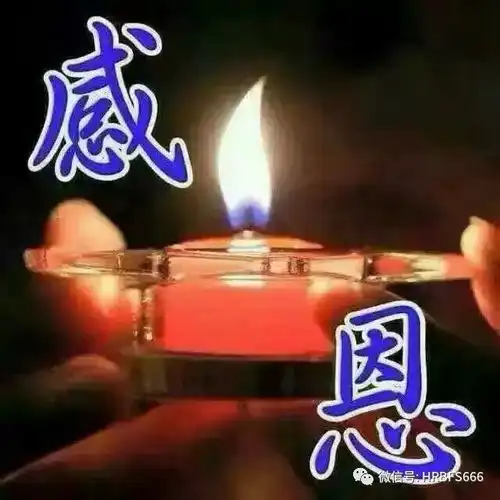 人因心存感恩而知足,世界因感恩而美好