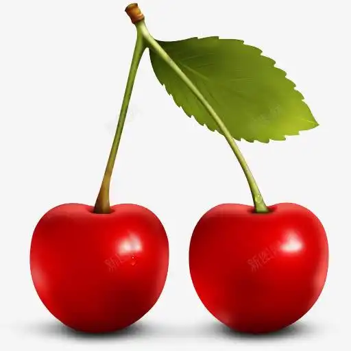 樱桃cherryicons图标樱桃批发樱桃果园樱桃树樱桃水果樱桃熟了樱桃特写樱桃画册樱桃素材水果樱桃种植樱桃美味樱桃ui图标设计图片免费下载页面网页平面电商创意素材画册图标