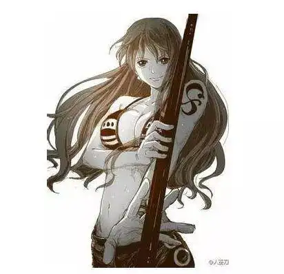 海贼王十大人气女角色,娜美次于罗宾,对此你们怎么看