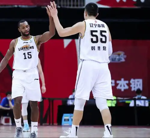 辽篮再曝引援筹码可送走60分超巨男篮新国手,抢cba最强大鱼