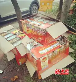 衡阳茶山坳一新店开业违规放烟花爆竹吉利没讨到还得交罚款
