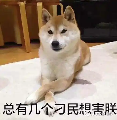 狗子楼最新情况被封楼了,以后更新在相册