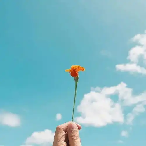 早晨很美的一句话,简短走心,情商超高