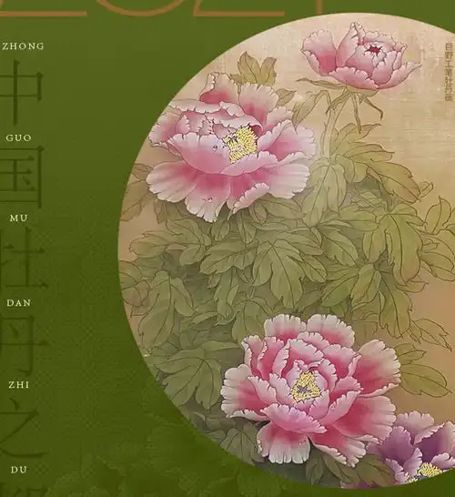菏泽新闻大众网菏泽