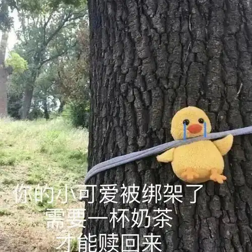 每个姓氏,都有一句情话,你的是什么