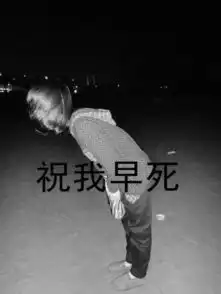 测试一个超长简介的文章