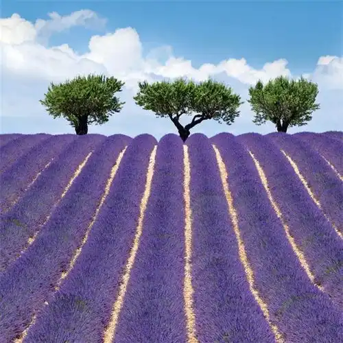 锦绣大地,风景如画,美不胜收