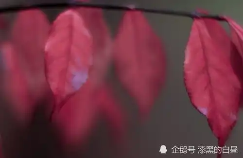 [错误码:xx,xxx]