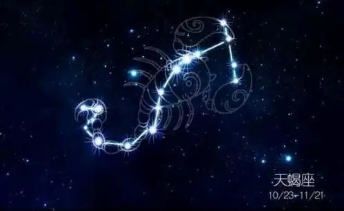 十二星座天蝎座内容过于真实