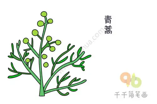 各种各样的花朵简笔画大全集