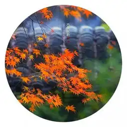 古风秋韵剑佛