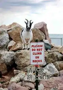 搞笑图笑话搞笑搞笑图精选爆笑搞笑图大全第4032页别逗了