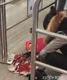乘客安检现场宰活鸭安检口变屠宰场鲜血淋淋没有考虑其他乘客的感受