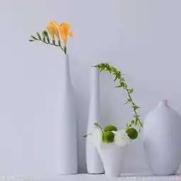 婚姻需要契约精神,爱应给予慈悲之心