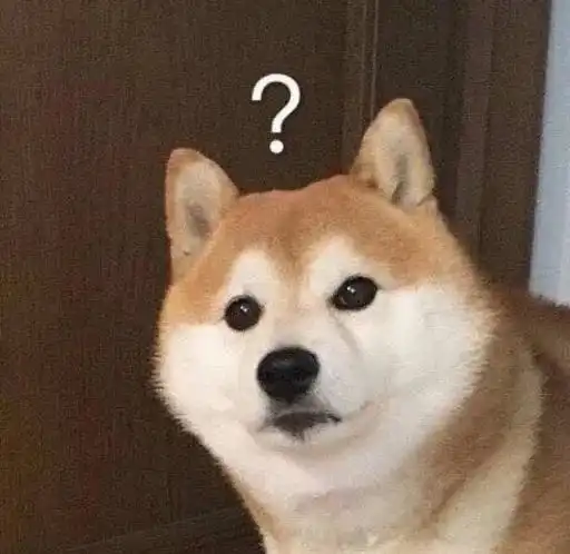 我们一见面就像认识了很久,这是命中注定该有的感觉吗