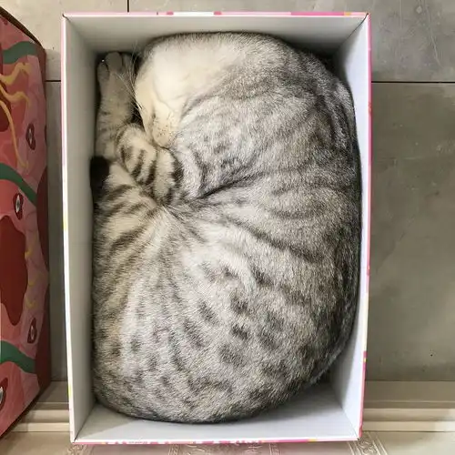 西瓜太郎是如何一步步长成猪精的˙˙