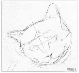 零基础学素描猫咪素描步骤详解