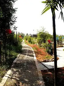 四季飘香的生态花园鹰潭九曲洲