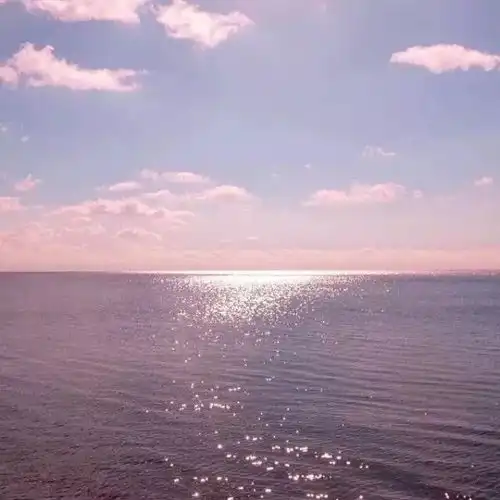 测试一个超长简介的文章