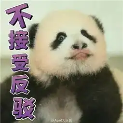 滚滚再次全球圈粉这波熊猫外交,我给满分