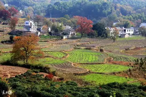 中国楼市变化大路没有了,山推倒了,植被砍了,全建成了房子