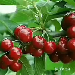 电话,地址,价格,营业时间文登区休闲娱乐