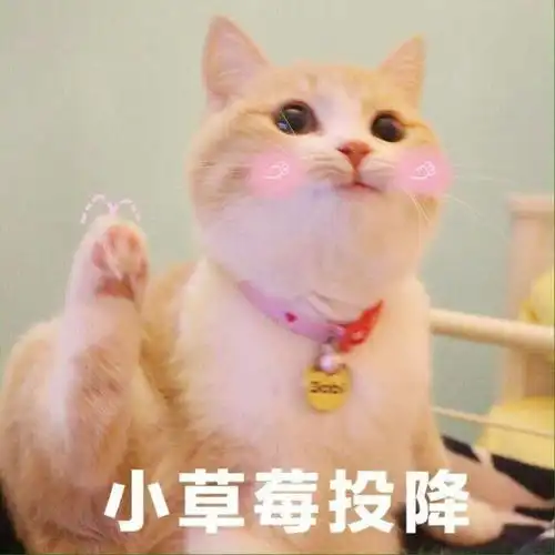 这个四岁小孩一口竟能吃下一个大草莓网友都封他为草莓杀手你能吗