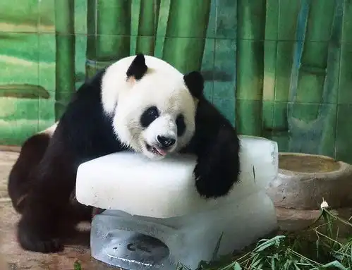 还要热多久,就不告诉你