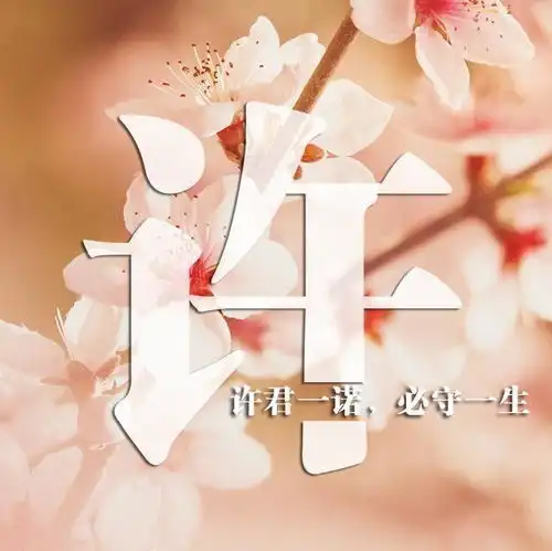 用你的姓氏做一款头像,进来看看有没有你的姓氏头像