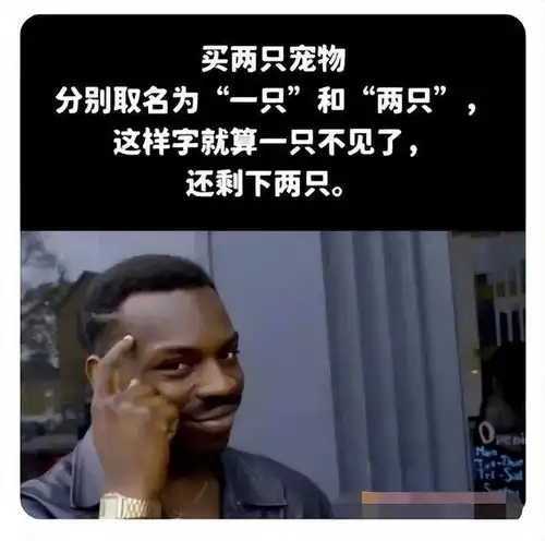 神回复有什么东西卖真的犯法,卖假的不犯法神评把我笑死了