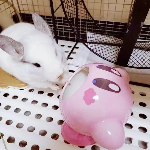 放入生肉变得猎奇星之卡比万用碗什么都可以放