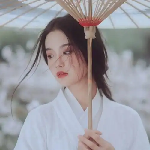 仙气十足的古风句子南风知我意,吹梦到西洲