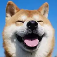 狗子酱狗咬手头像可爱狗子酱头像