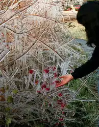 延庆县气温下降滴水成冰